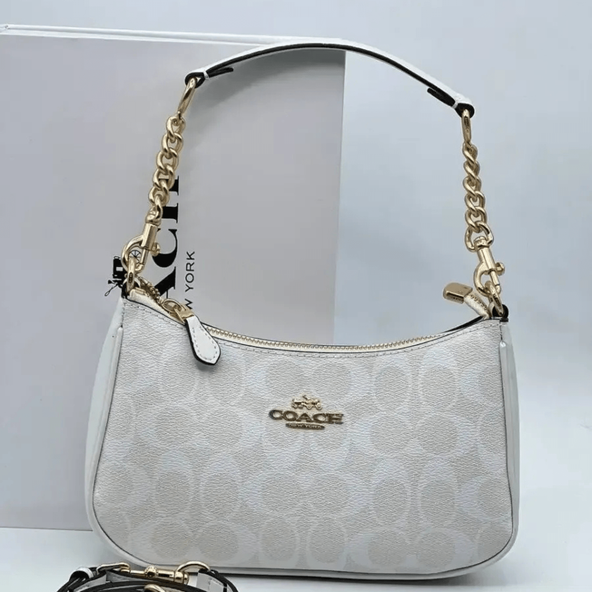Coach Teri Signature Canvas Tasche