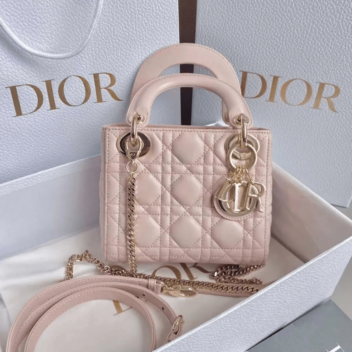 Mini Lady Dior Tasche