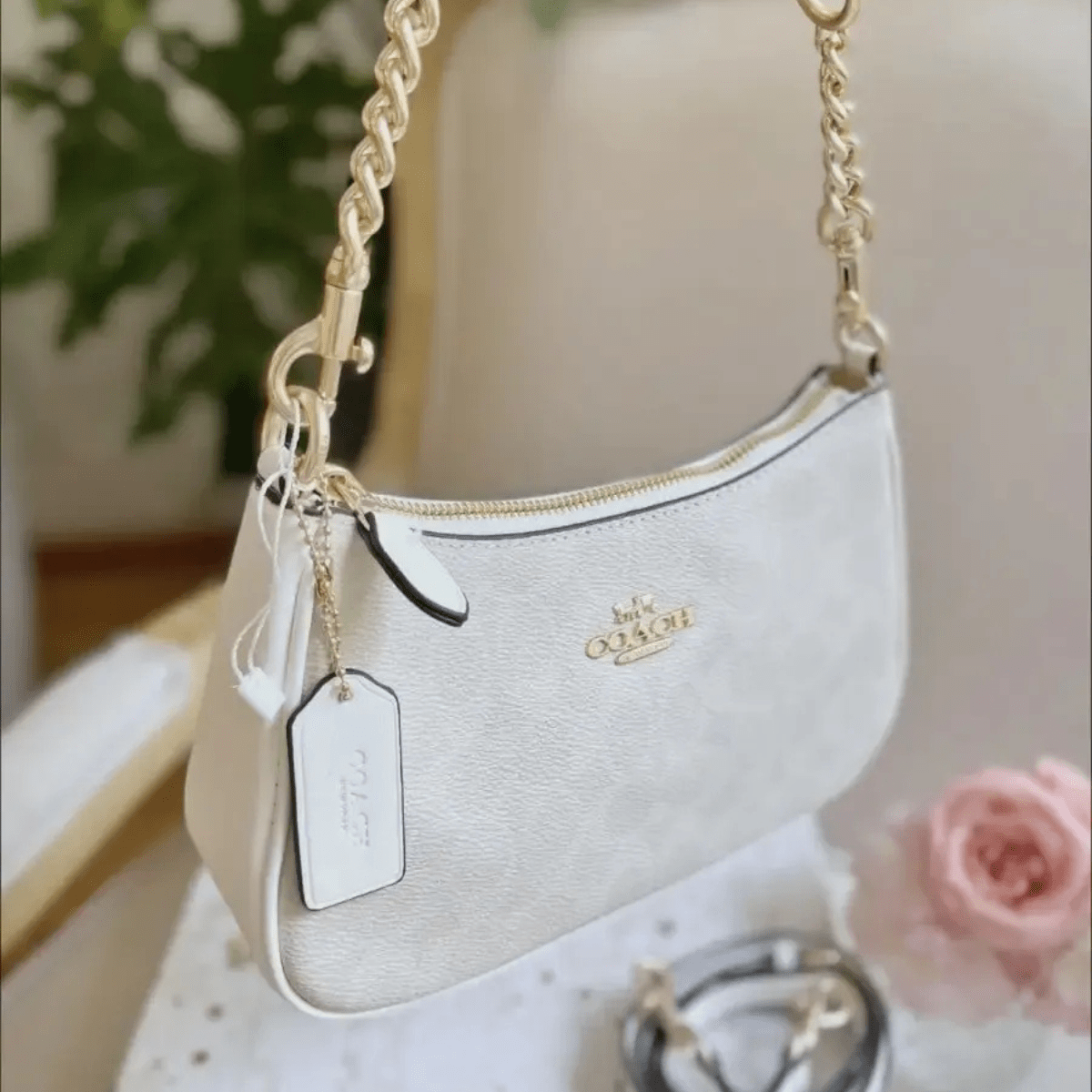 Coach Teri Signature Canvas Tasche