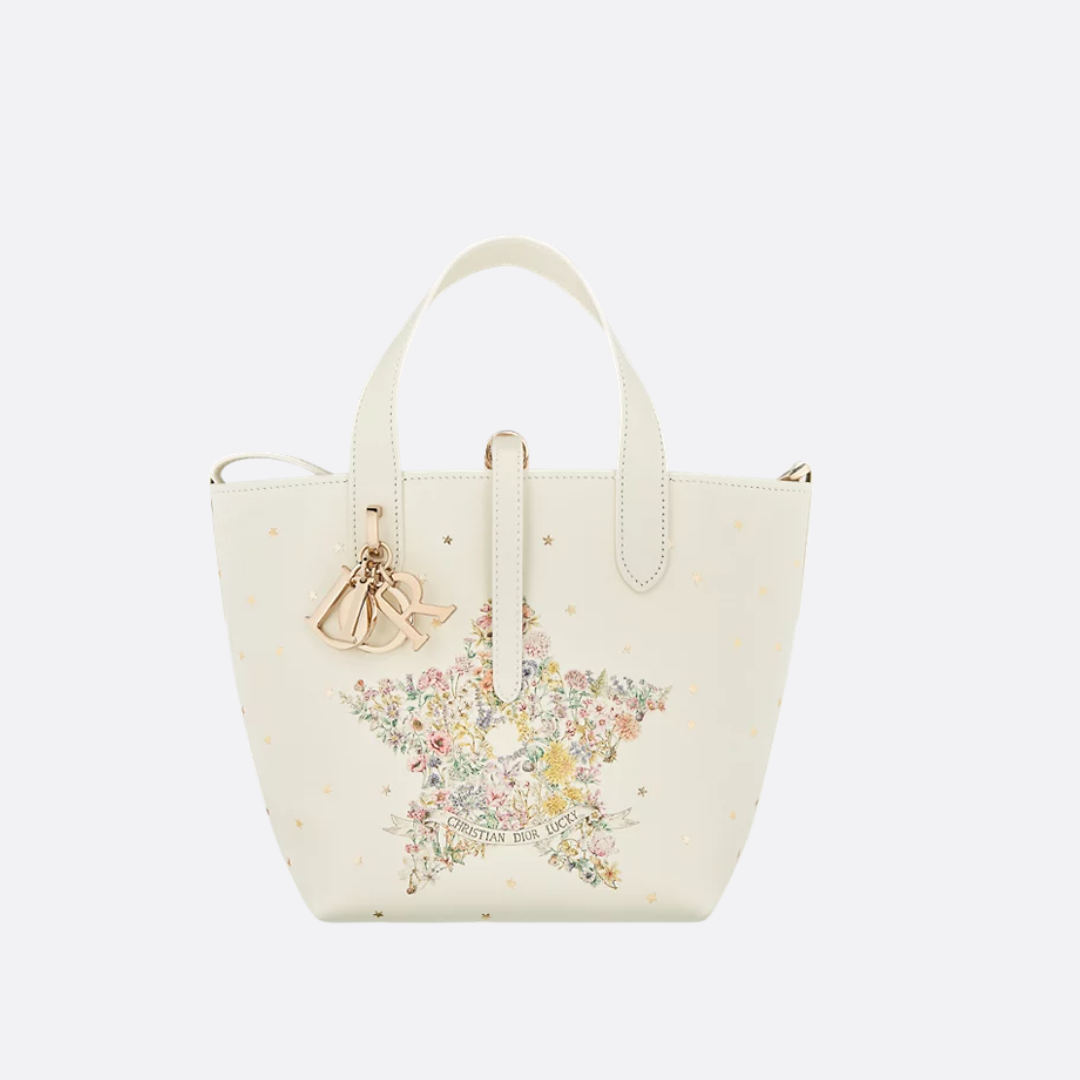 VERTIKALE TOTE-TASCHE DIOR LUCKY DIOR TOUJOURS KLEIN